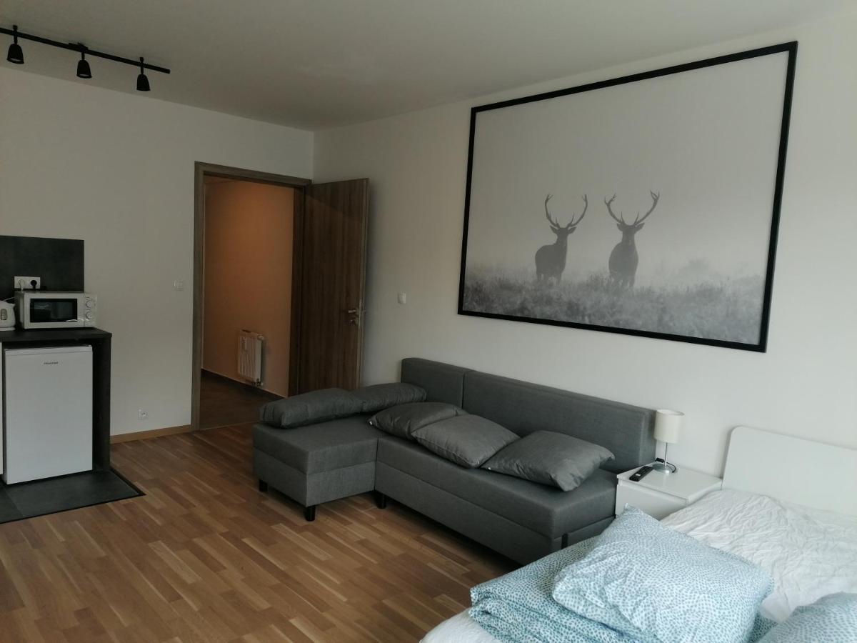 Brand New #51 With Free Secure Parking In The Center Апартаменты